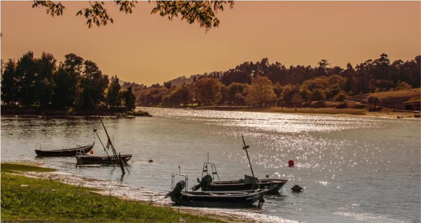 Just Like Home - Casa Do Sobreiro Velho Em Cerveira วีลาโนวา เด เซอร์เวย์รา ภายนอก รูปภาพ